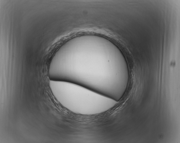X0000111901494200907270957