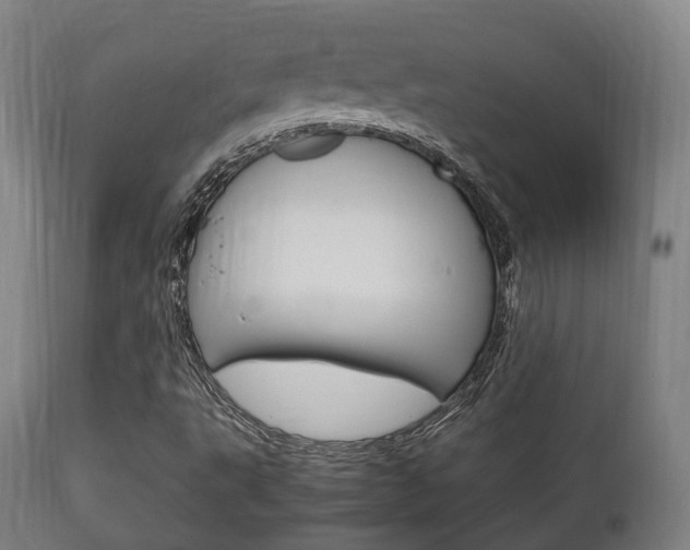 X0000111901495200907270957