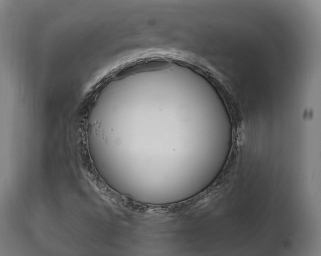 X0000111901496200907270957