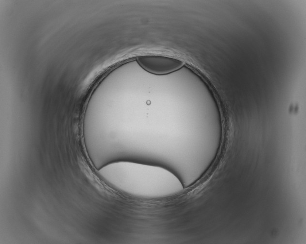 X0000111901499200907270957