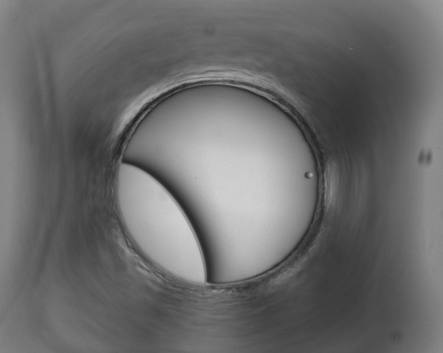 X0000111901501200907270957