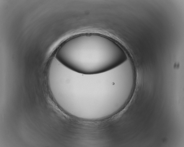 X0000111901502200907270957