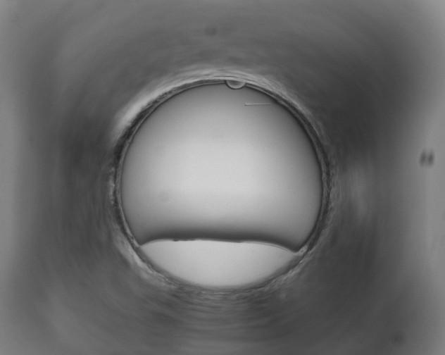 X0000111901503200907270957