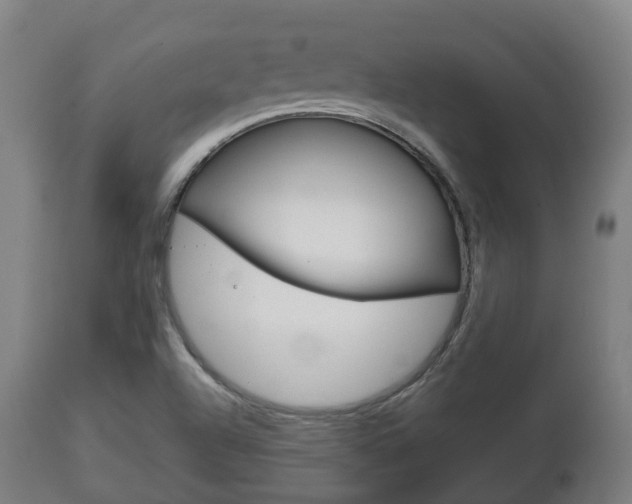 X0000111901504200907270957