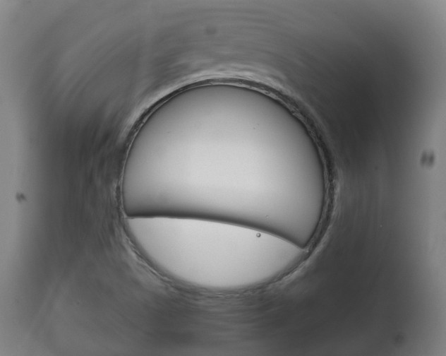 X0000111901505200907270957