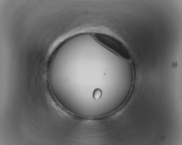 X0000111901506200907270957