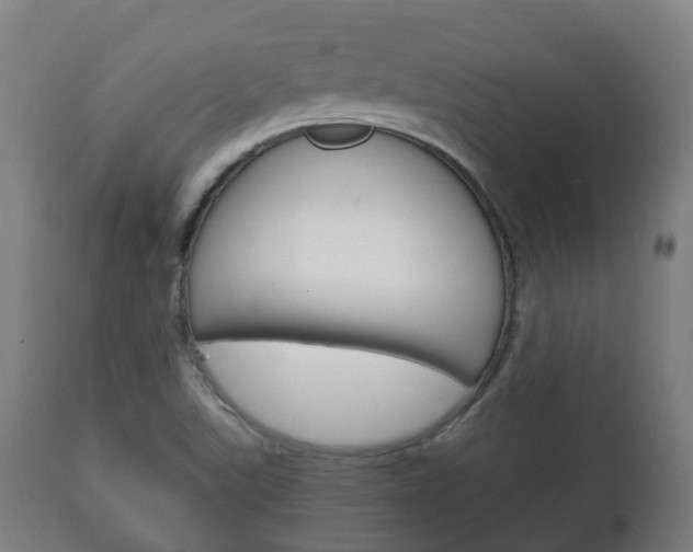 X0000111901507200907270957