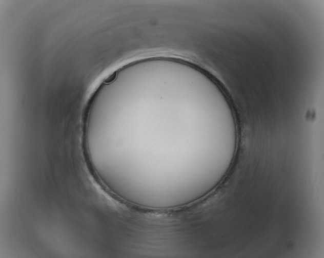 X0000111901508200907270957