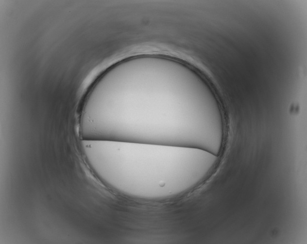 X0000111901509200907270957