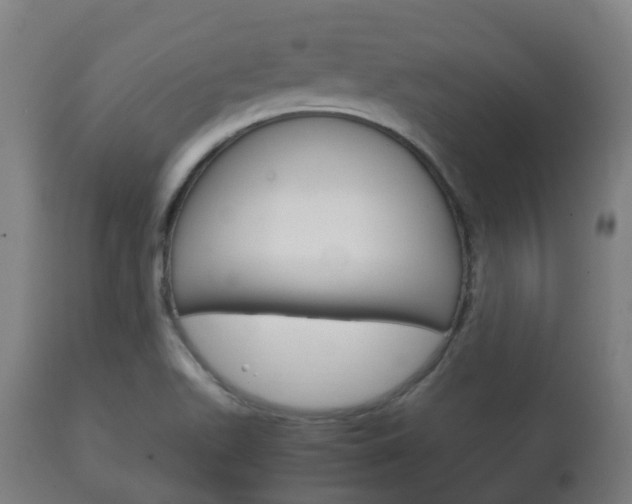 X0000111901511200907270957