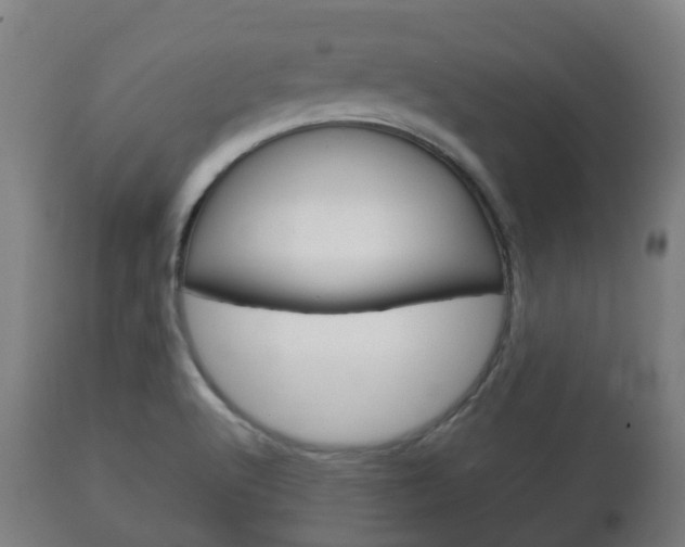 X0000111901512200907270957