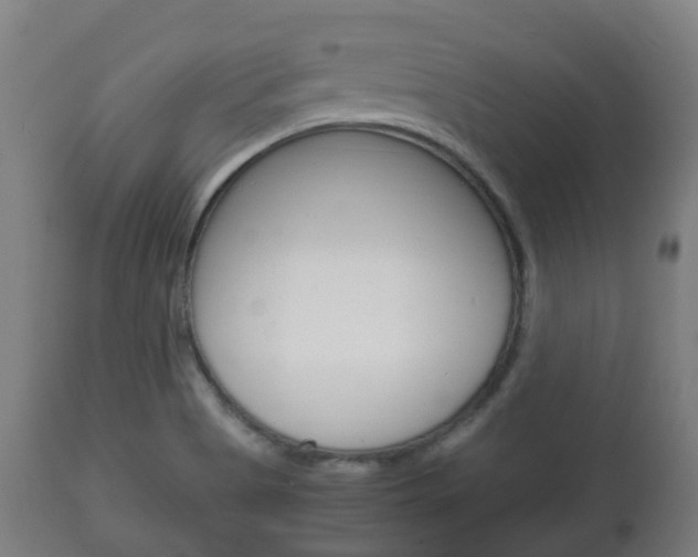 X0000111901513200907270957