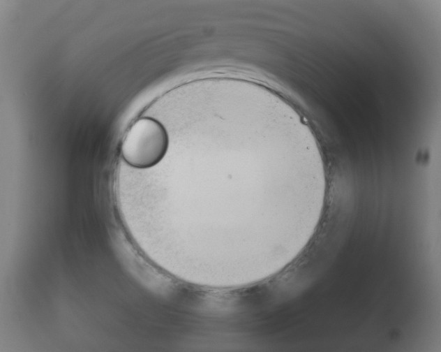 X0000111901514200907270957