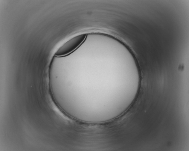 X0000111901516200907270957