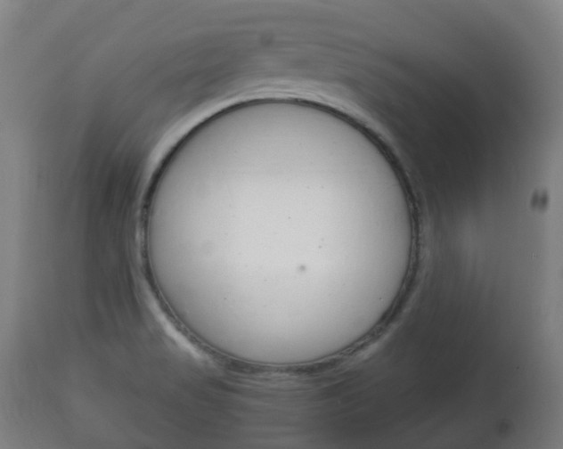 X0000111901517200907270957