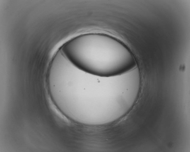 X0000111901518200907270957