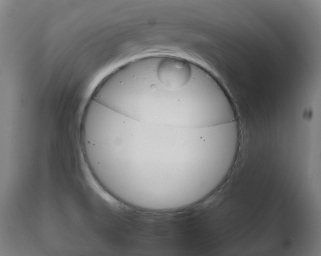X0000111901519200907270957