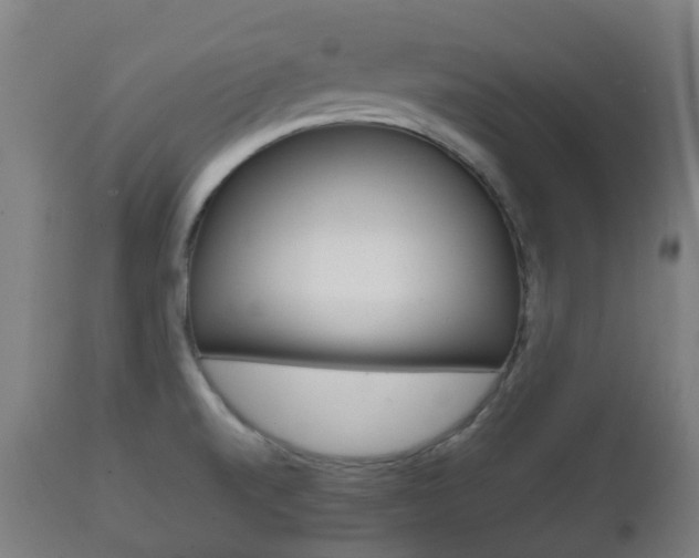 X0000111901520200907270957