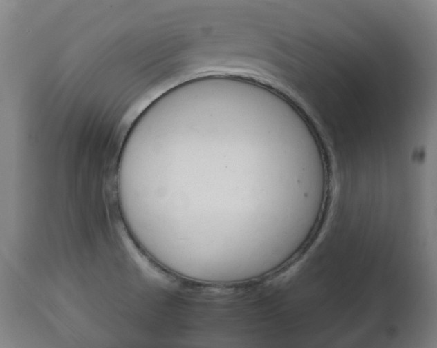 X0000111901521200907270957