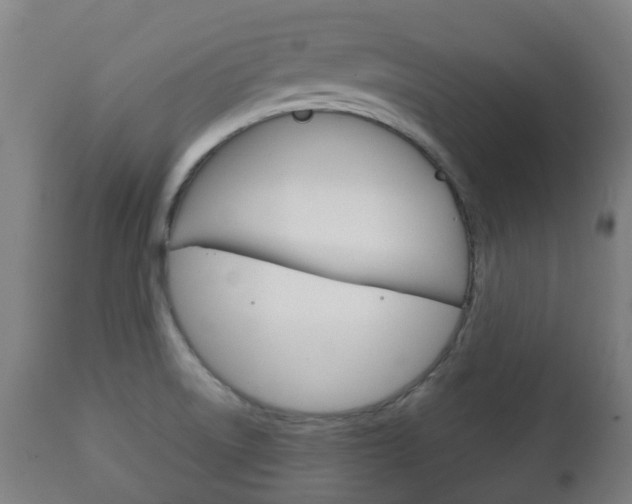 X0000111901522200907270957