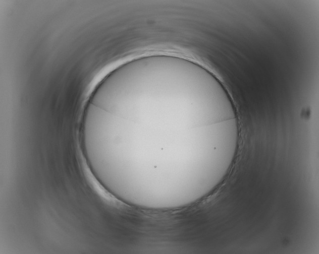 X0000111901523200907270958