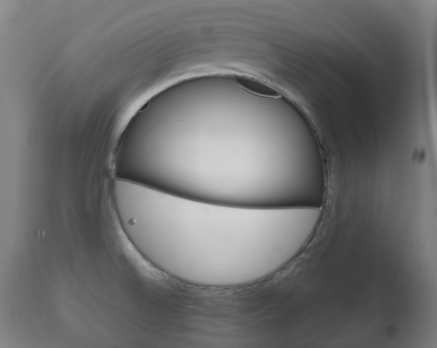 X0000111901524200907270958