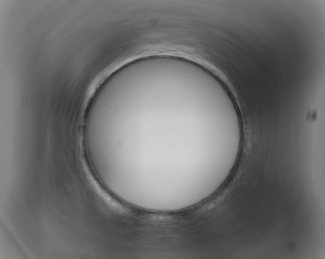 X0000111901525200907270958