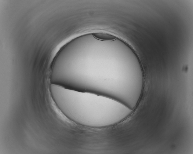 X0000111901526200907270958