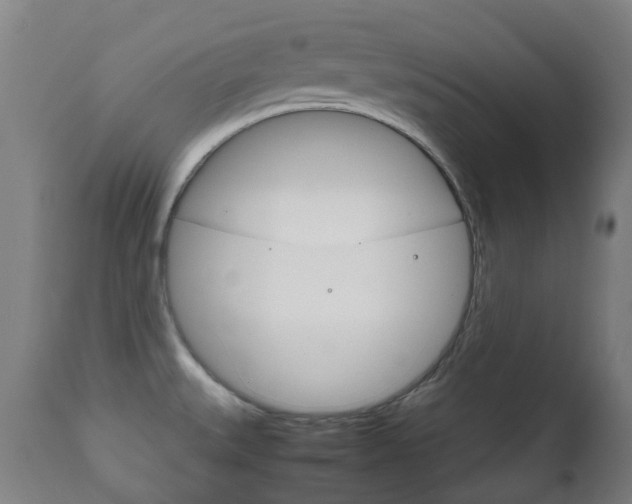X0000111901527200907270958