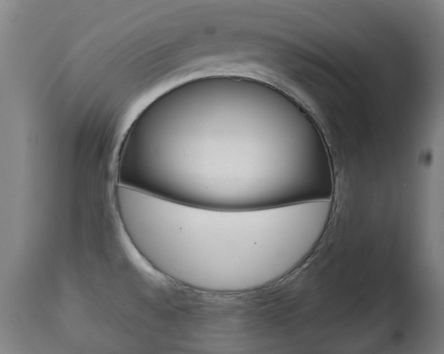 X0000111901528200907270958