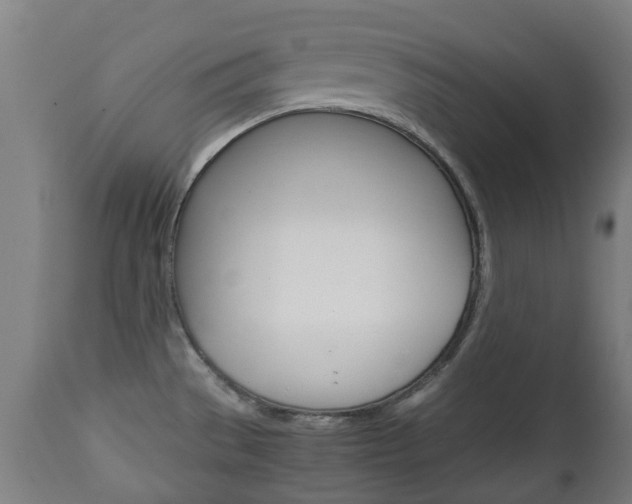 X0000111901529200907270958
