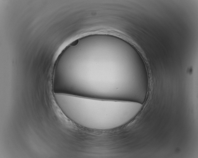X0000111901530200907270958