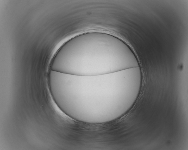 X0000111901531200907270958