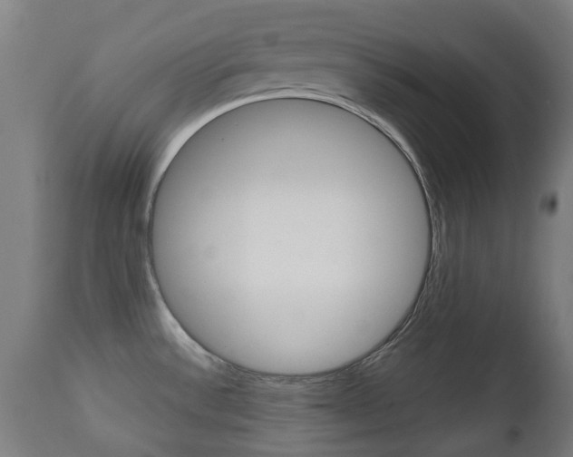 X0000111901532200907270958