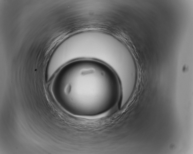 X0000111900001200907271209