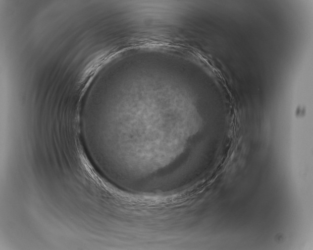 X0000111900002200907271209