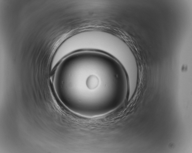 X0000111900003200907271209