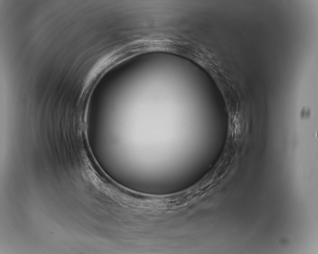 X0000111900004200907271209