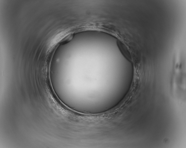 X0000111900005200907271209