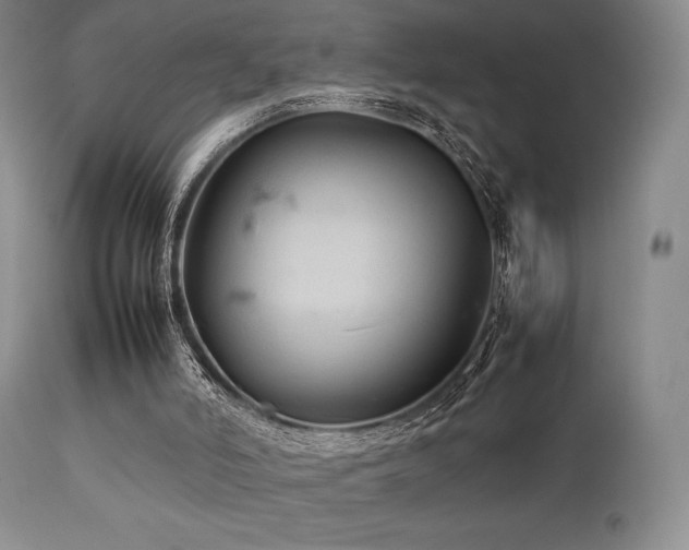 X0000111900006200907271209