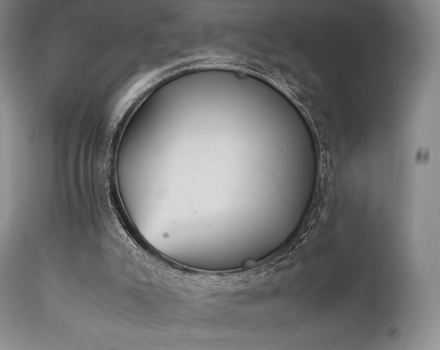 X0000111900007200907271209