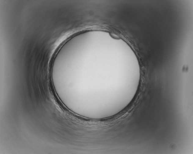 X0000111900008200907271209