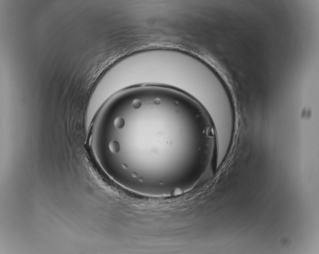 X0000111900009200907271209