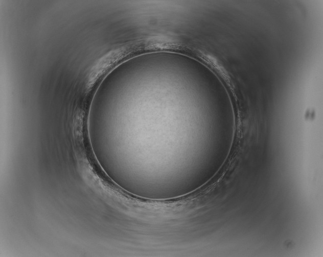 X0000111900010200907271209