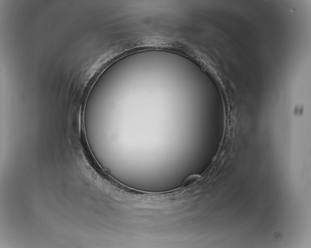 X0000111900011200907271209