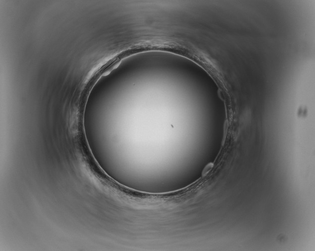 X0000111900012200907271209