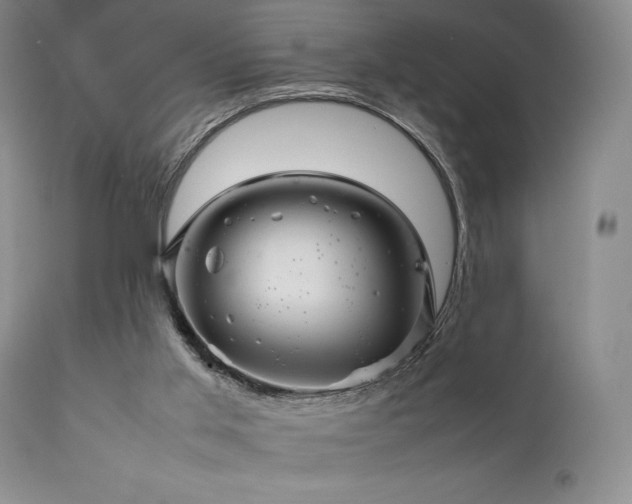 X0000111900013200907271209