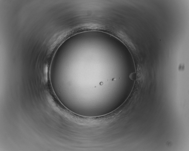 X0000111900014200907271209