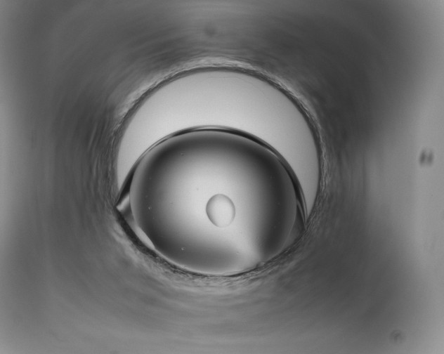 X0000111900015200907271209