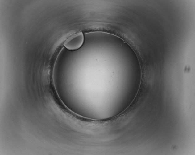 X0000111900016200907271209